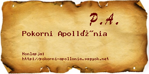 Pokorni Apollónia névjegykártya